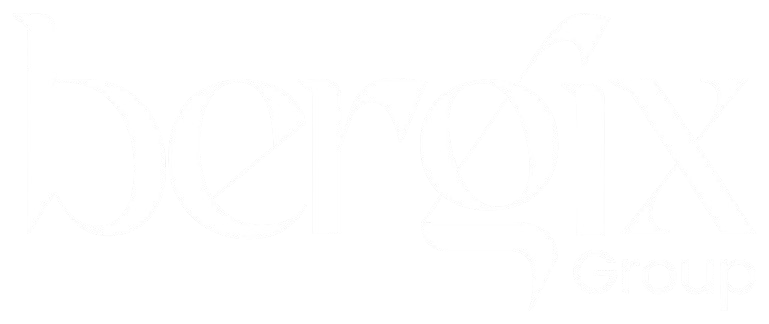 Bergix%20Group